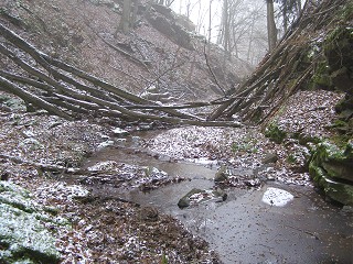 Pleick potok