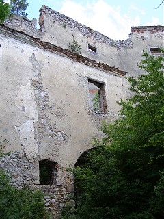 Ruine Starhemberg