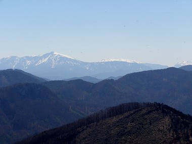 Pohled na Schneeberg