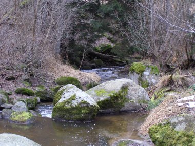 Svatoslavský potok